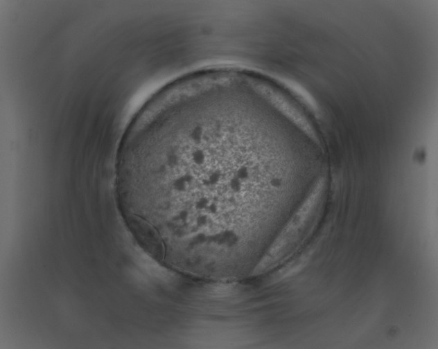 X0000093101279200710101530