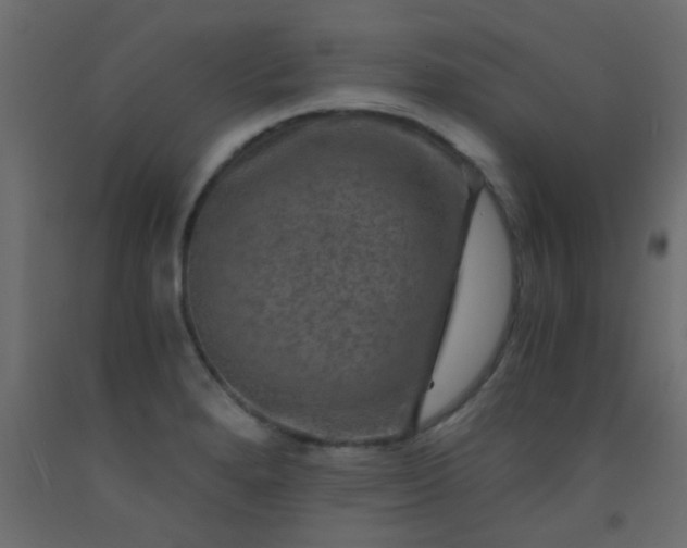 X0000093101280200710101530