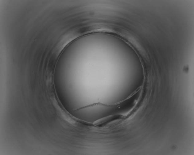 X0000093101281200710101530