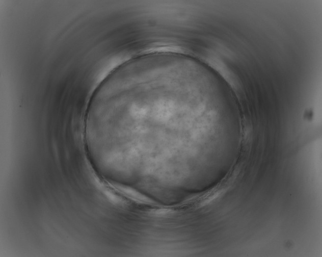 X0000093101282200710101530