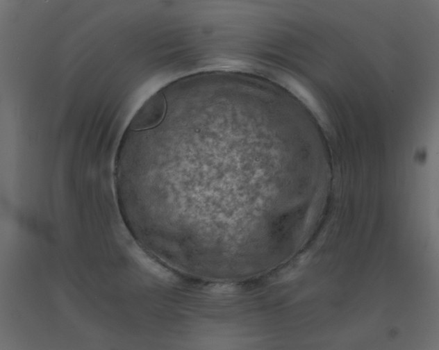X0000093101283200710101530