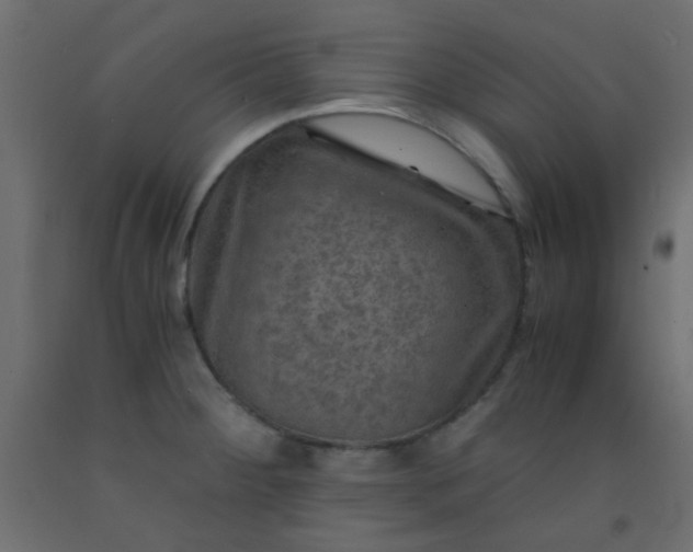X0000093101284200710101530