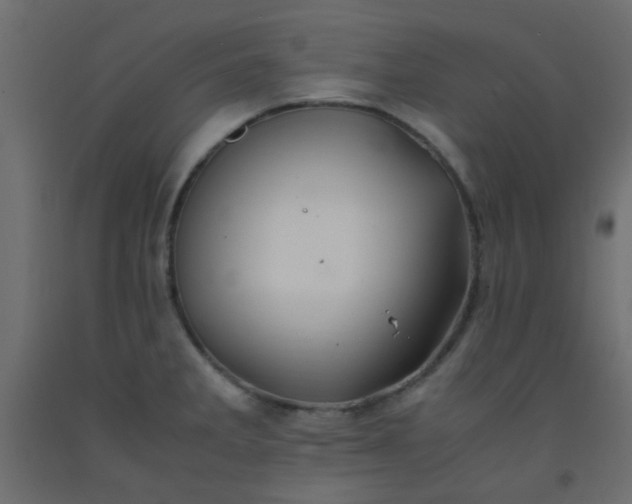 X0000093101285200710101530