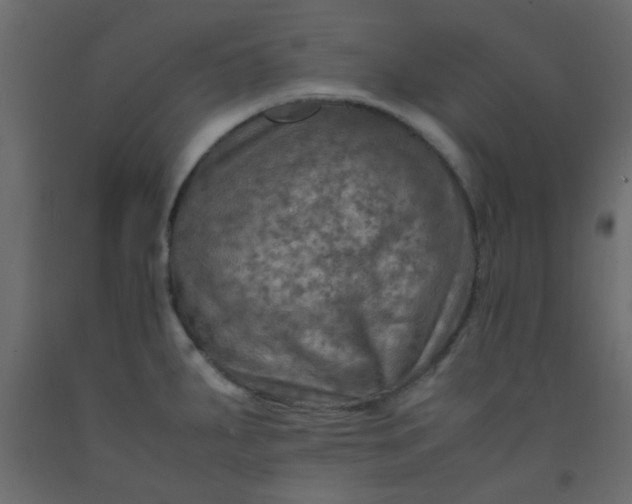 X0000093101287200710101530