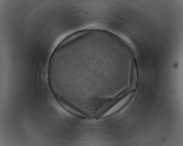 X0000093101288200710101530