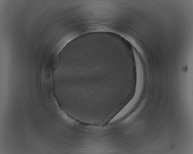 X0000093101289200710101530
