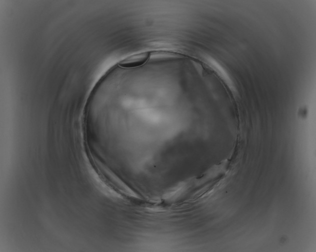 X0000093101291200710101530