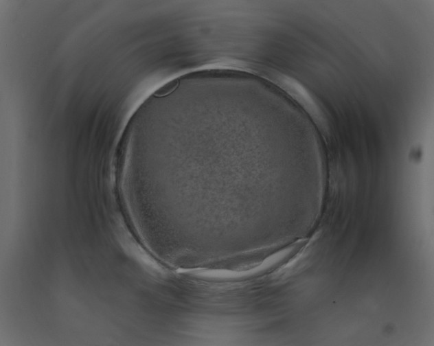 X0000093101292200710101530