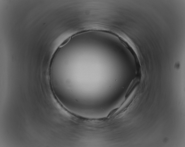 X0000093101293200710101530