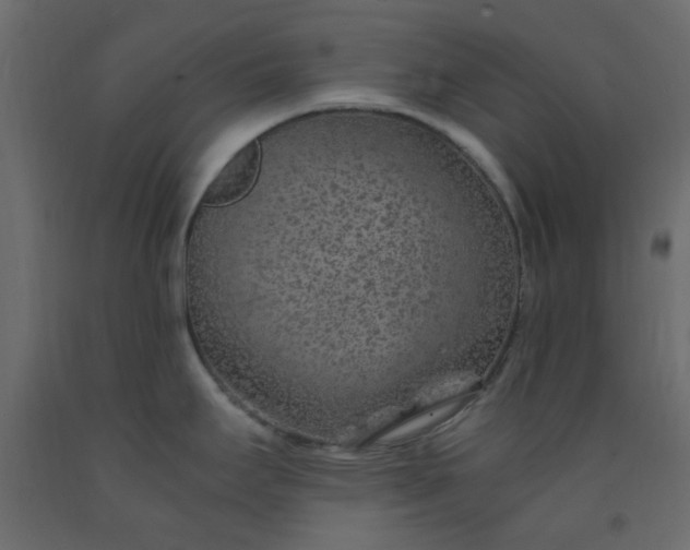 X0000093101295200710101530