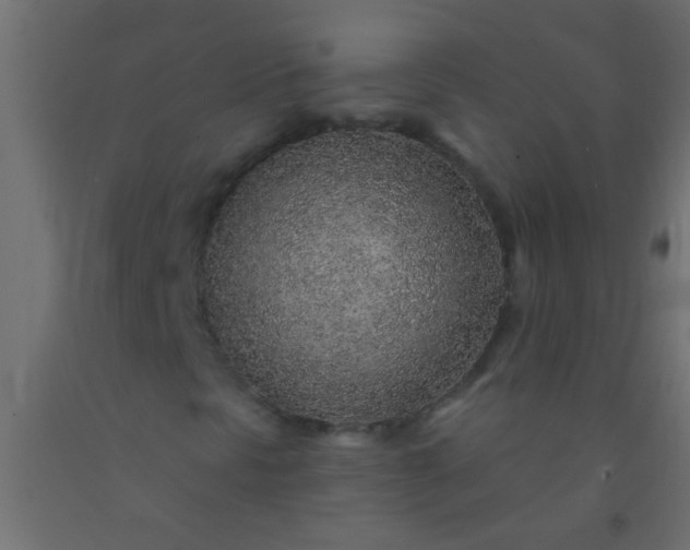 X0000093101297200710101529