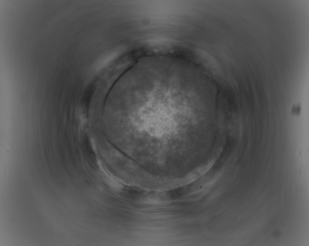 X0000093101298200710101529