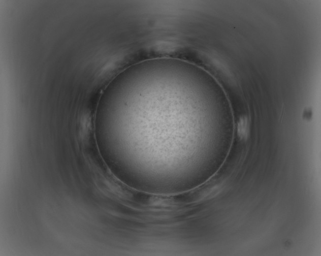 X0000093101299200710101529