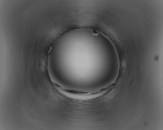 X0000093101300200710101529