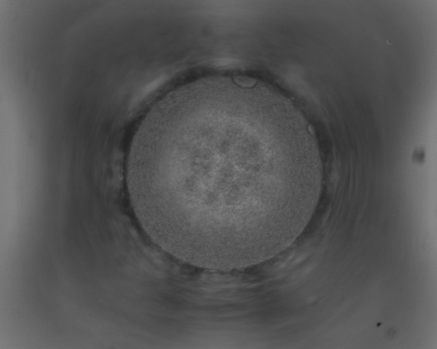 X0000093101301200710101529