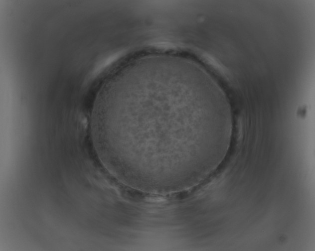 X0000093101302200710101529