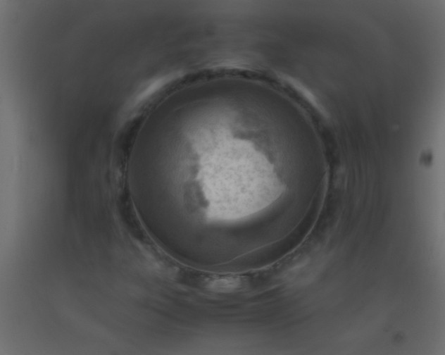 X0000093101303200710101529