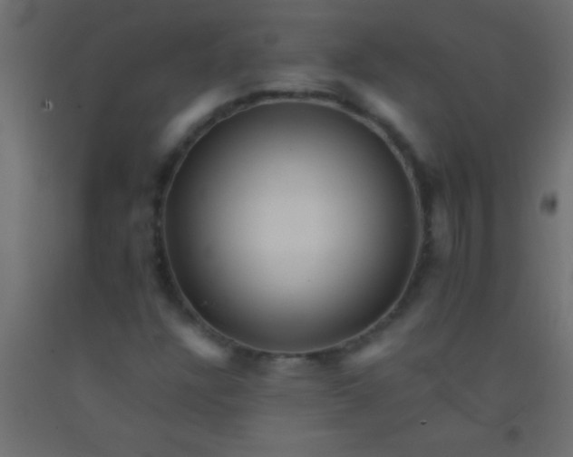 X0000093101304200710101529