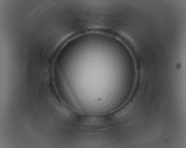 X0000093101305200710101529