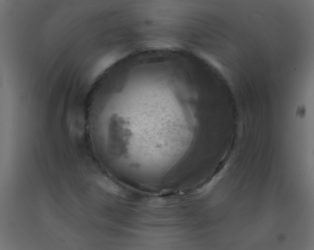X0000093101306200710101529
