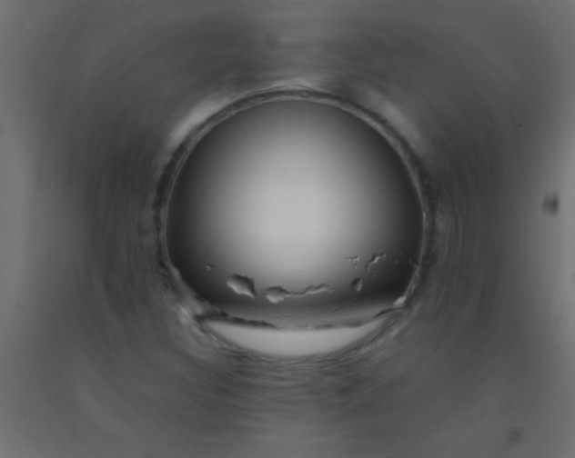 X0000093101308200710101529