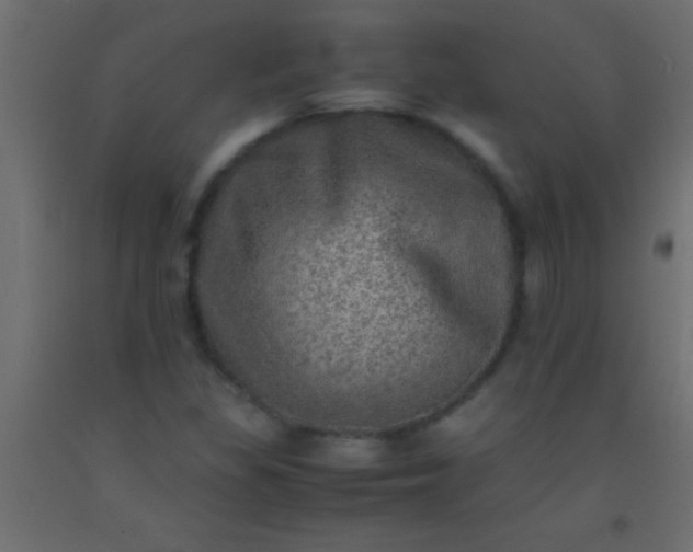 X0000093101309200710101529