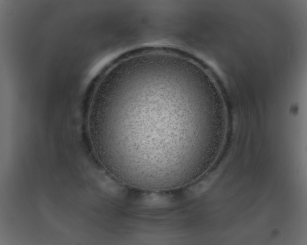 X0000093101311200710101529
