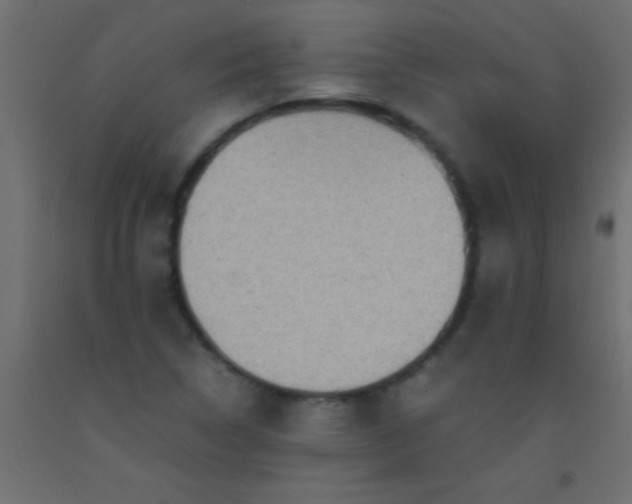 X0000093101314200710101529