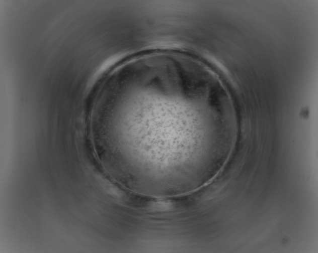 X0000093101315200710101529