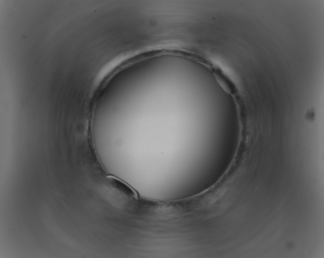 X0000093101316200710101529