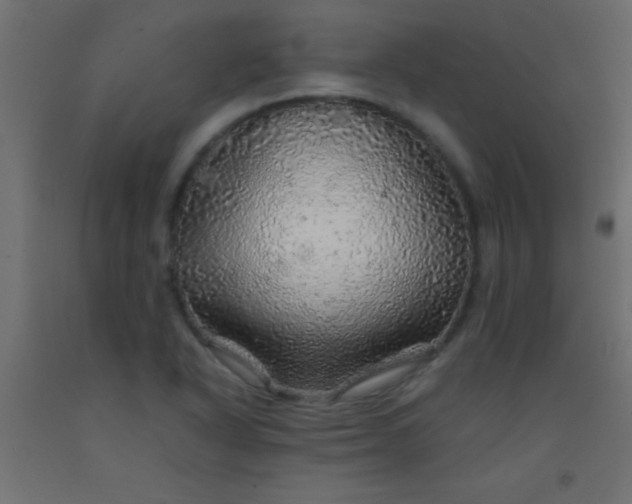 X0000093101318200710101529