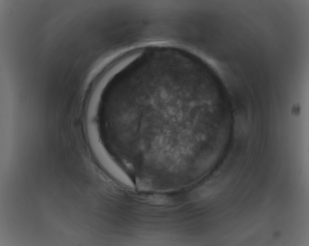 X0000093101319200710101529