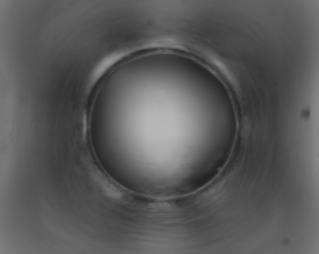 X0000093101320200710101529
