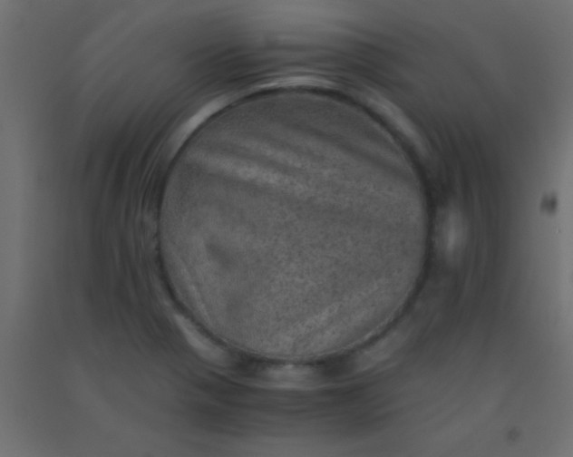 X0000093101321200710101530