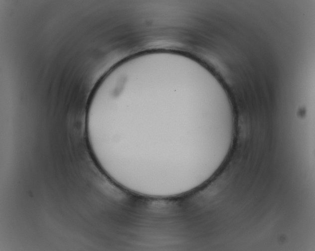X0000093101322200710101530