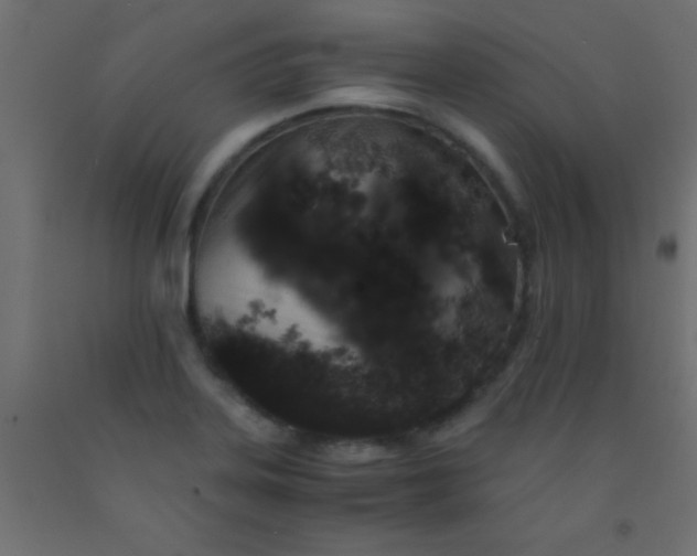 X0000093101323200710101530