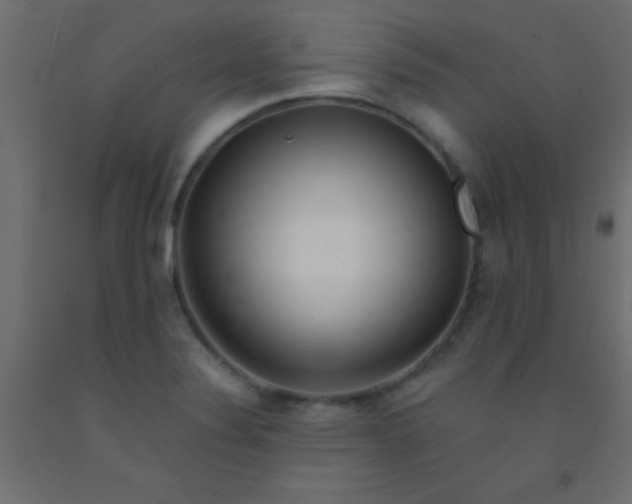 X0000093101324200710101530