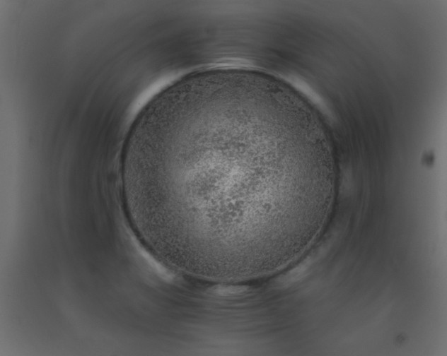 X0000093101325200710101530