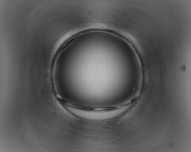 X0000093101326200710101530
