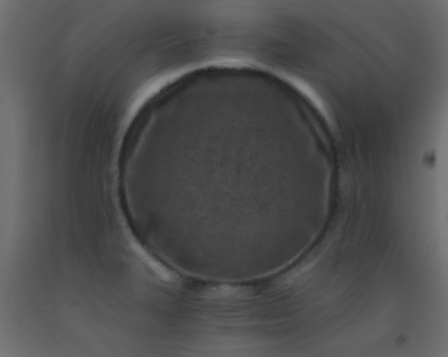 X0000093101327200710101530