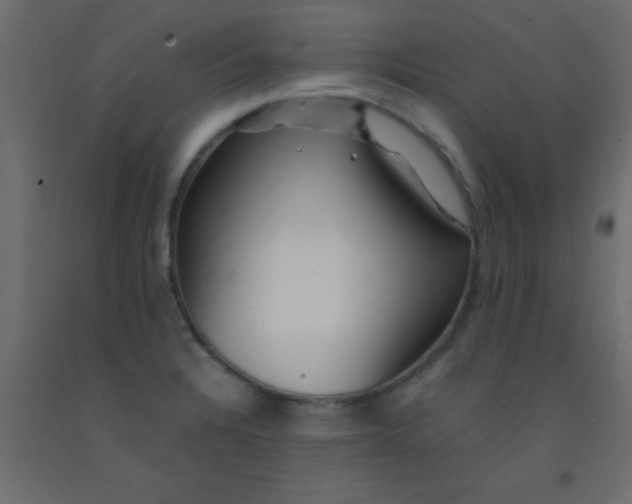 X0000093101328200710101530