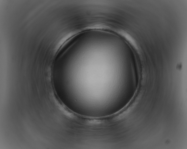 X0000093101329200710101530