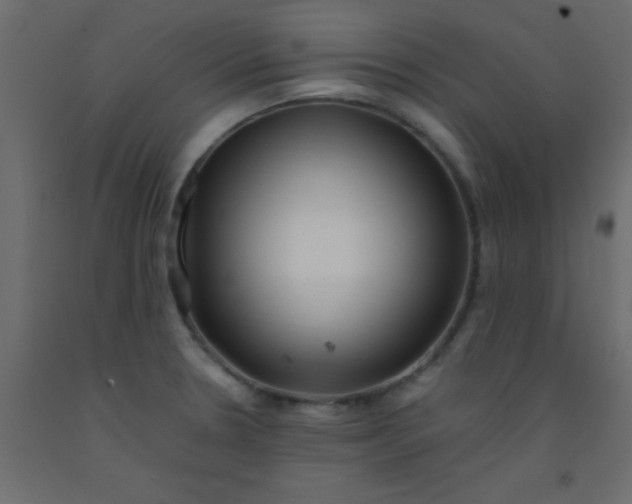 X0000093101330200710101530