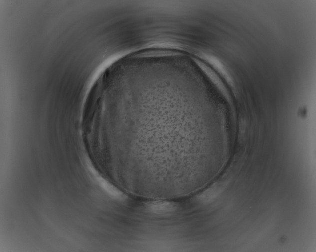 X0000093101331200710101530
