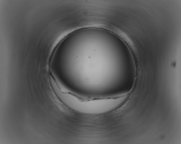 X0000093101332200710101530