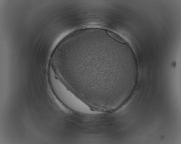 X0000093101333200710101530