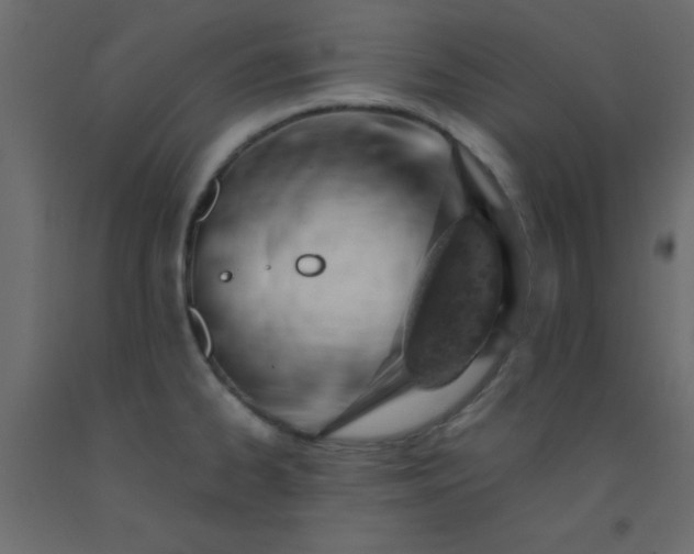 X0000093101334200710101530