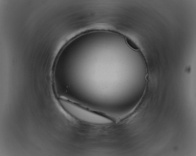X0000093101335200710101530