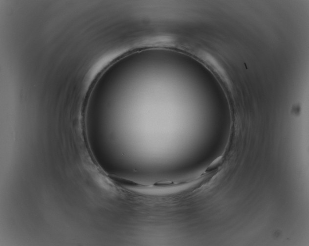X0000093101336200710101530