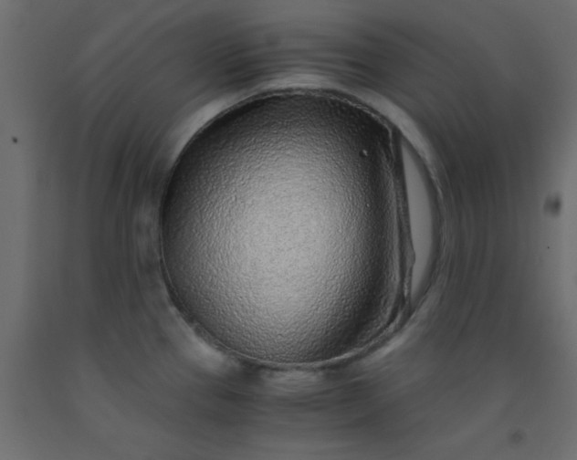 X0000093101337200710101530